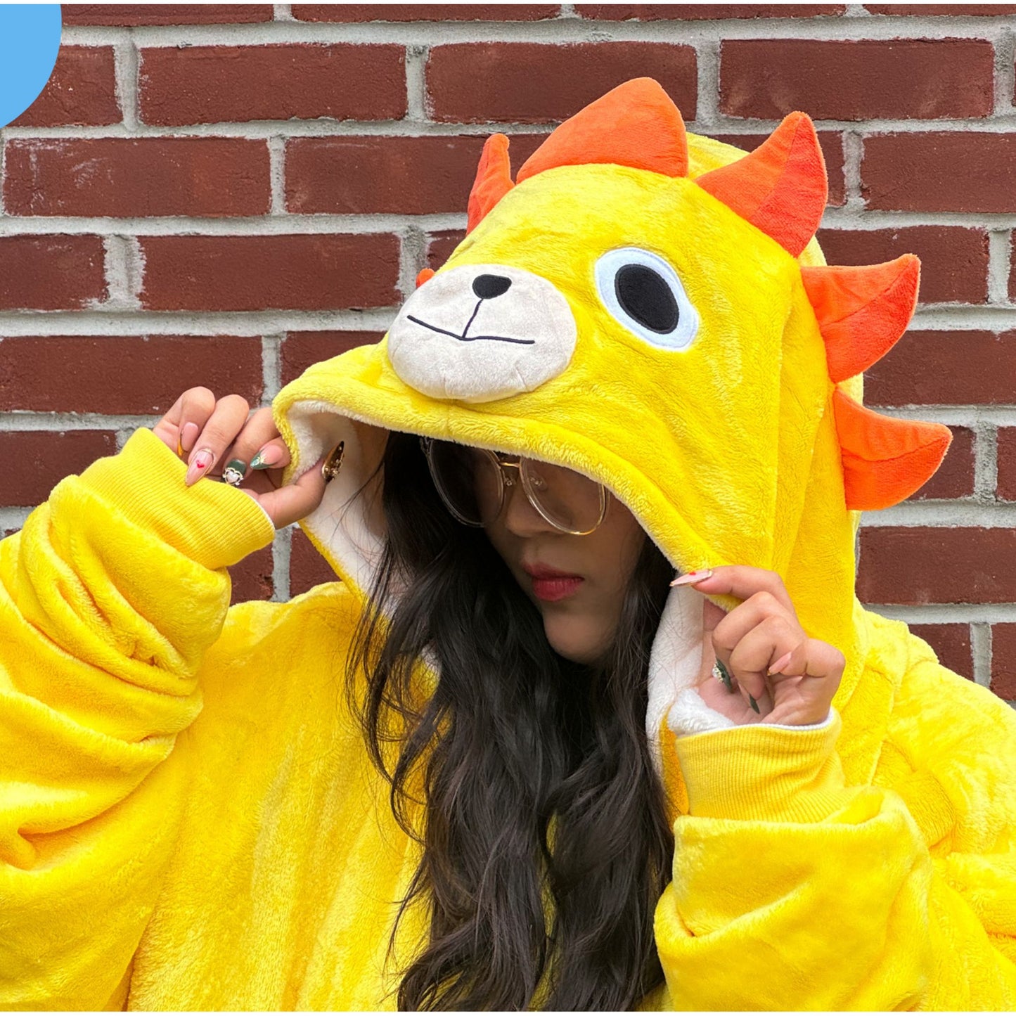 Reversible Blanket Hoodie